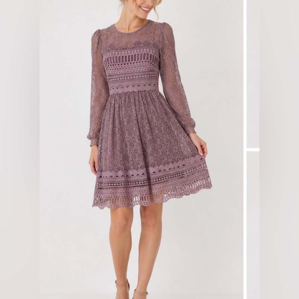 ASOS Mauve Lace Long Sleeve Fit & Flare Dress